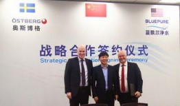 蓝厂最新爆料新闻,颠覆性新机即将亮相，性能与设计双升级