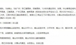 鹤山市爆料新闻最新消息,突发事件引发关注，详情即将揭晓